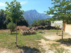 maison de vacances olmi cappella Corse
